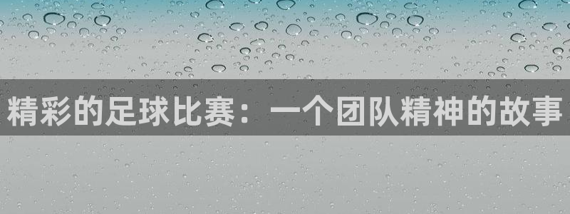  精彩的足球比赛：一个团队精神的故事