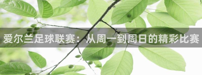  爱尔兰足球联赛：从周一到周日的精彩比赛