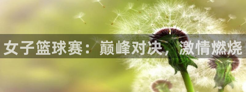  女子篮球赛：巅峰对决，激情燃烧
