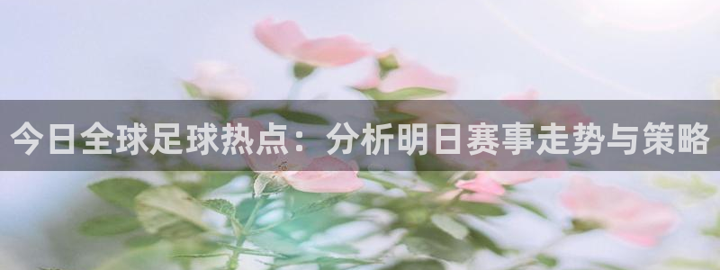 678体育怎么样：今日全球足球热点：分析明日赛事走势与策略