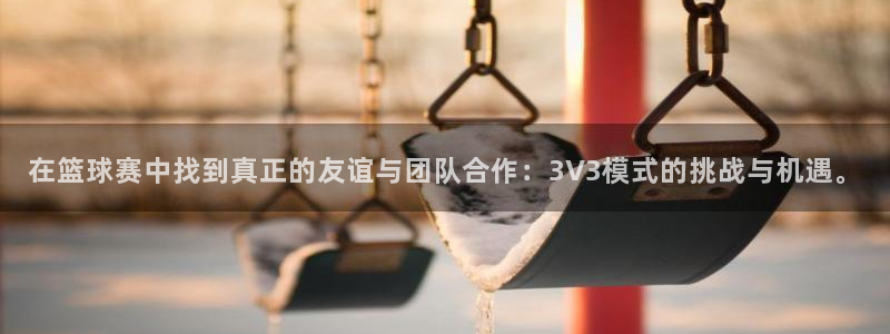  678体育改名后叫什么：在篮球赛中找到真正的友谊与团队合作：