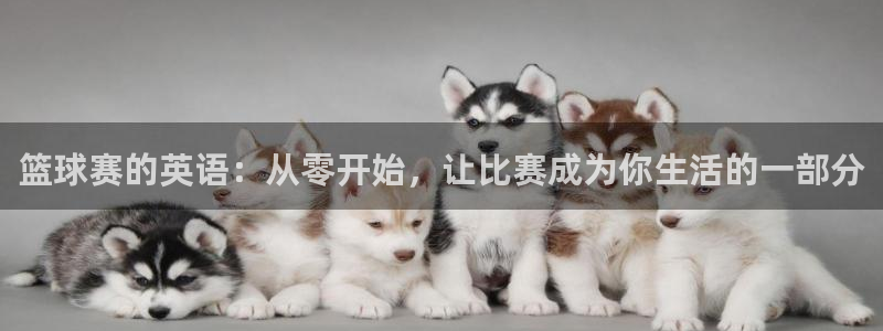  678体育现在改名了吗：篮球赛的英语：从零开始，让比赛成为你