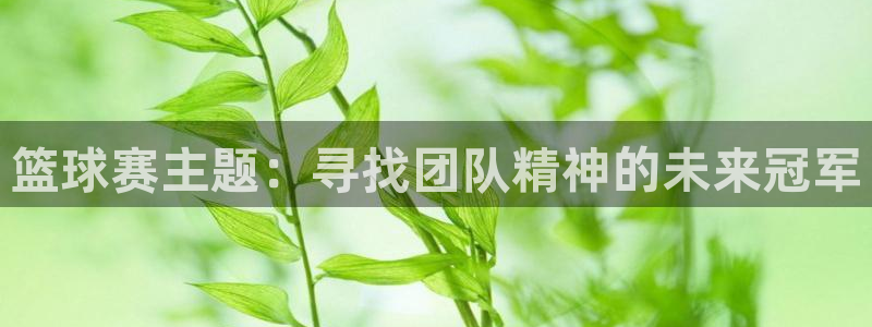  678体育无限期审核：篮球赛主题：寻找团队精神的未来冠军