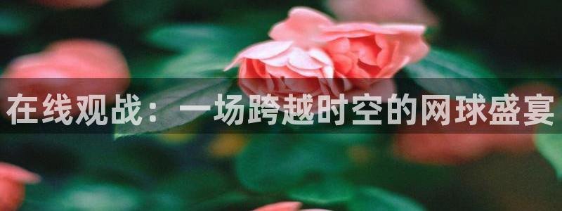  678体育官方版app下载安装：在线观战：一场跨越时空的网球