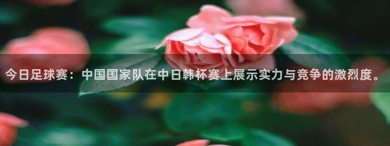  678体育赛事直播：今日足球赛：中国国家队在中日韩杯赛上展示