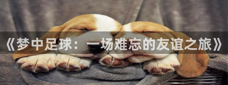  678体育停止服务公告：《梦中足球：一场难忘的友谊之旅》