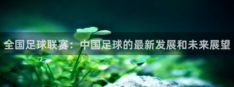  678体育官网入口：全国足球联赛：中国足球的最新发展和未来展