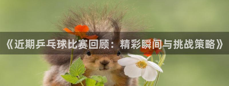  678体育停止服务公告：《近期乒乓球比赛回顾：精彩瞬间与挑战