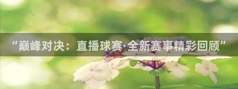  678体育知识：“巅峰对决：直播球赛·全新赛事精彩回顾”
