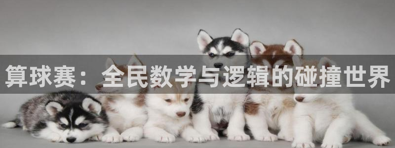 678体育改名后叫什么：算球赛：全民数学与逻辑的碰撞世界