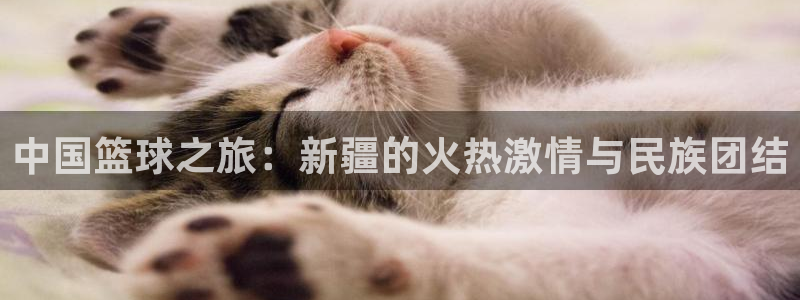 678体育官方版app下载安装：中国篮球之旅：新疆的火热激情