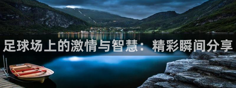  678体育赛事直播：足球场上的激情与智慧：精彩瞬间分享