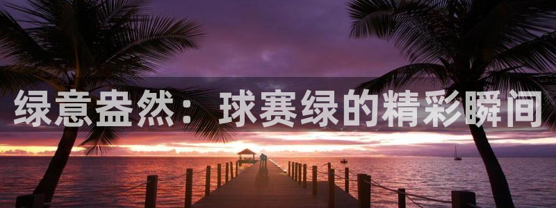 678体育世界杯赛事app：绿意盎然：球赛绿的精彩瞬间